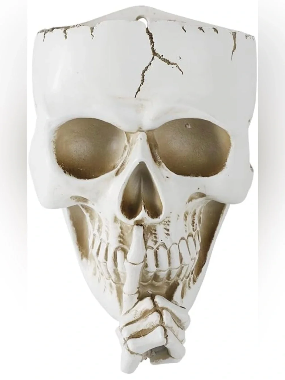 👻NEW - “DON’T SPEAK” Spooky Skull Wall Flowerpot - 7.87×5.12 inches